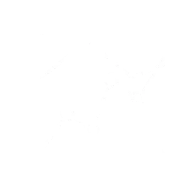 Statystyczni - Analiza statystyczna dla studentów i firm